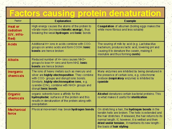 Factors causing protein denaturation Factor Explanation Example Heat or radiation (UV, infra. Red) High