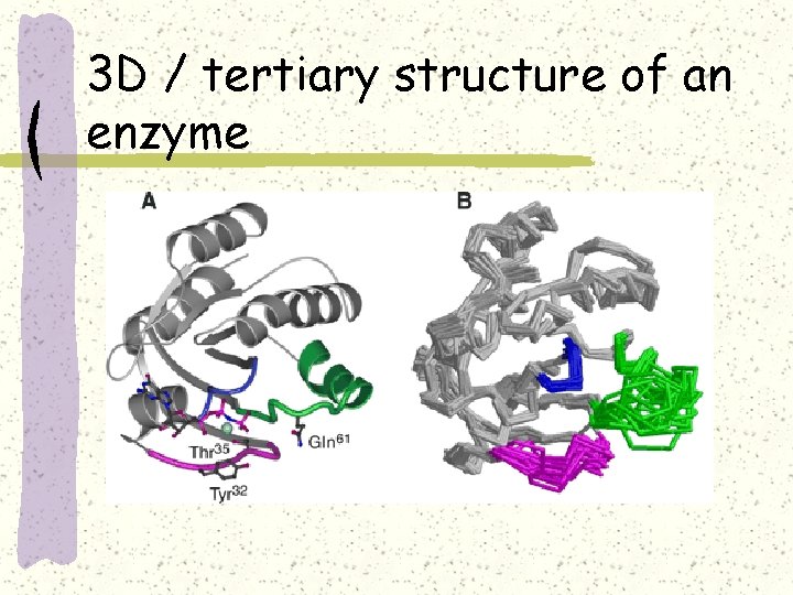 3 D / tertiary structure of an enzyme 