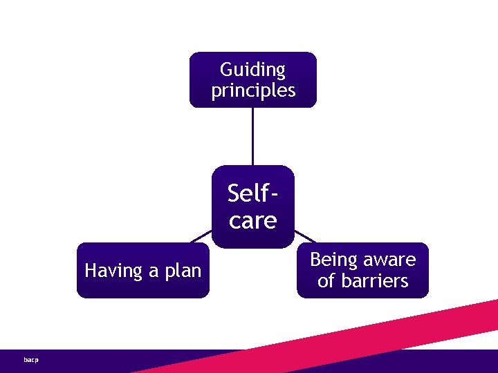 Guiding principles Selfcare Having a plan Being aware of barriers 