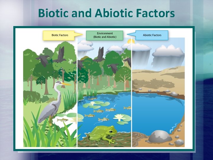 Biotic and Abiotic Factors Biotic and Abiotic Factors