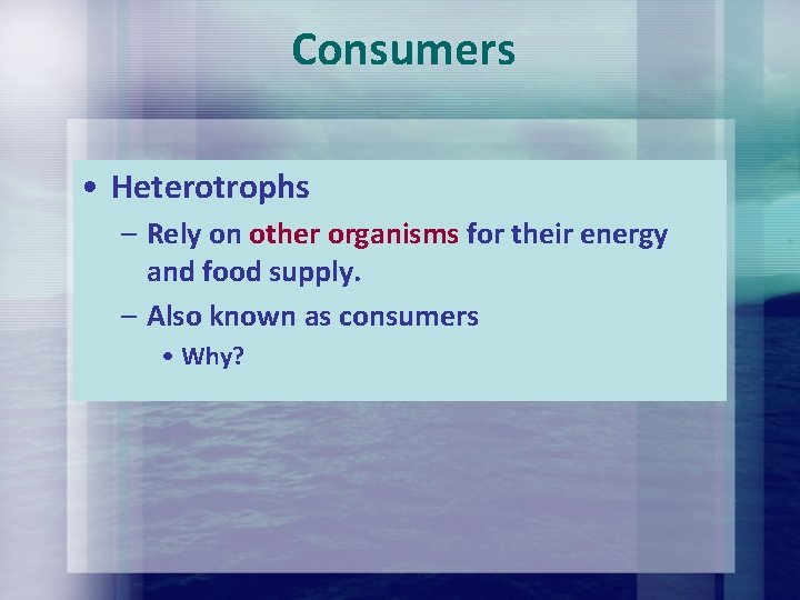 Consumers • Heterotrophs – Rely on other organisms for their energy and food supply. Consumers • Heterotrophs – Rely on other organisms for their energy and food supply.