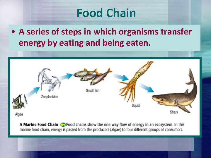 Food Chain • A series of steps in which organisms transfer energy by eating Food Chain • A series of steps in which organisms transfer energy by eating