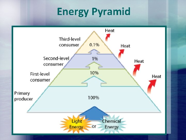 Energy Pyramid Energy Pyramid