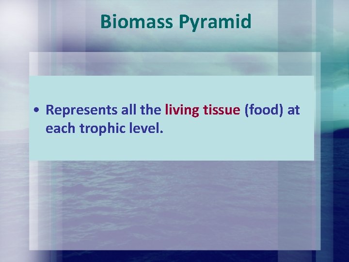 Biomass Pyramid • Represents all the living tissue (food) at each trophic level. Biomass Pyramid • Represents all the living tissue (food) at each trophic level.