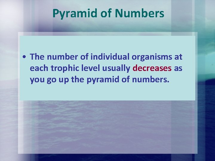 Pyramid of Numbers • The number of individual organisms at each trophic level usually Pyramid of Numbers • The number of individual organisms at each trophic level usually