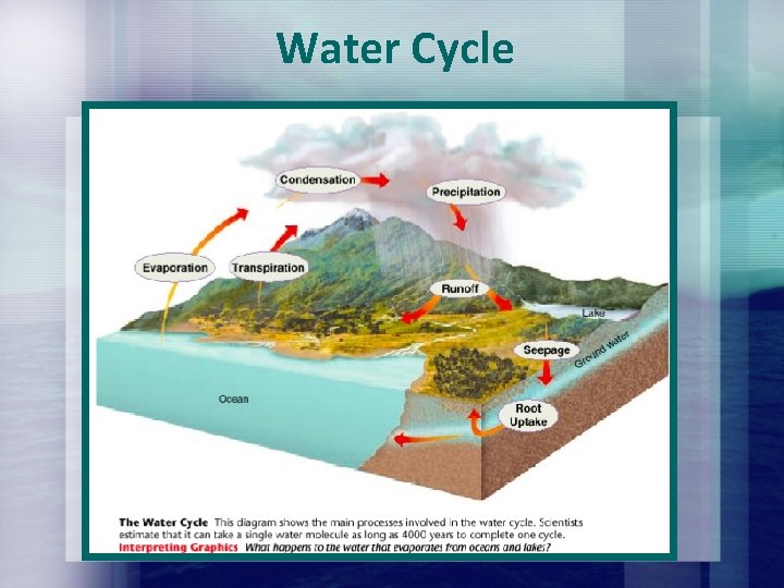 Water Cycle Water Cycle