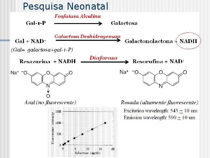 Pesquisa Neonatal 