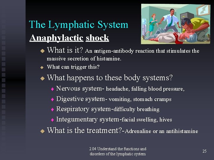 The Lymphatic System Anaphylactic shock u What is it? An antigen-antibody reaction that stimulates