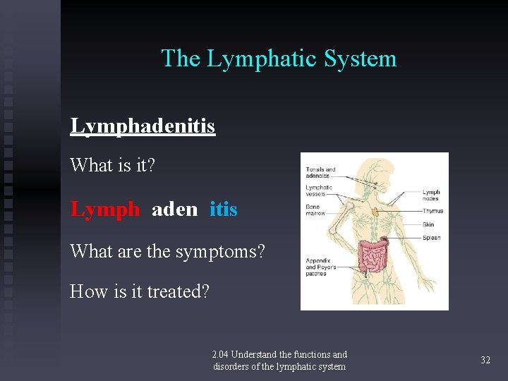 The Lymphatic System Lymphadenitis What is it? Lymph aden itis What are the symptoms?