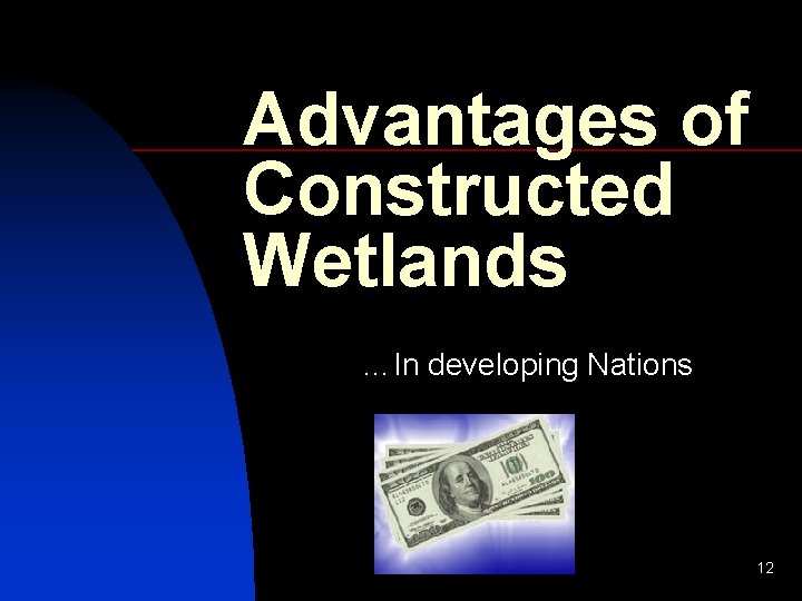 Advantages of Constructed Wetlands …In developing Nations 12 