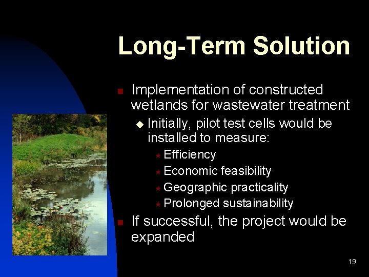Long-Term Solution n Implementation of constructed wetlands for wastewater treatment u Initially, pilot test