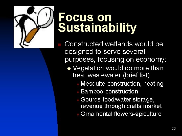 Focus on Sustainability n Constructed wetlands would be designed to serve several purposes, focusing