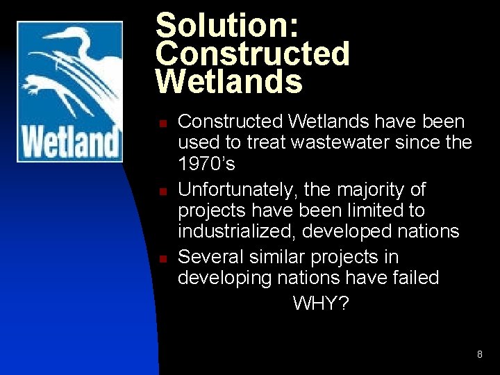 Solution: Constructed Wetlands n n n Constructed Wetlands have been used to treat wastewater