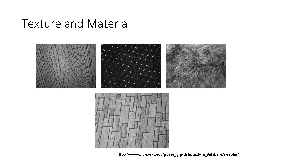 Texture and Material http: //www-cvr. ai. uiuc. edu/ponce_grp/data/texture_database/samples/ 