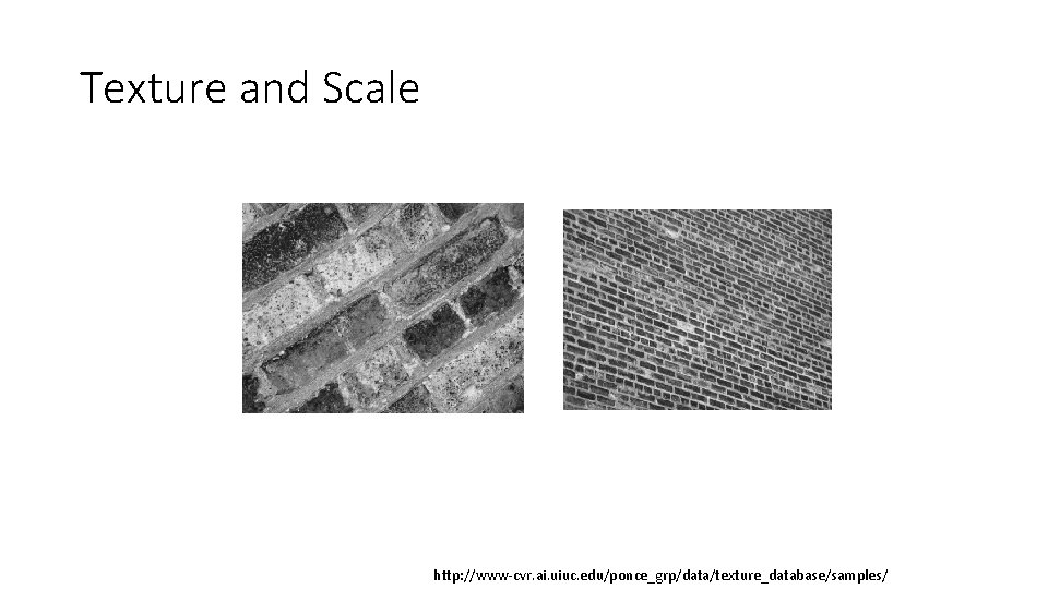 Texture and Scale http: //www-cvr. ai. uiuc. edu/ponce_grp/data/texture_database/samples/ 