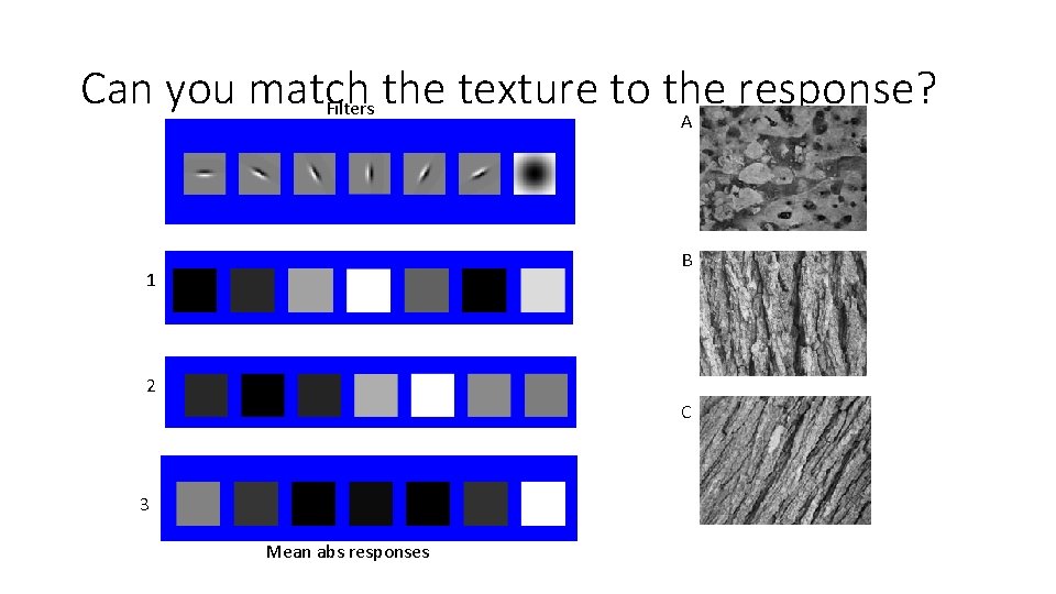 Can you match the texture to the response? Filters A B 1 2 C