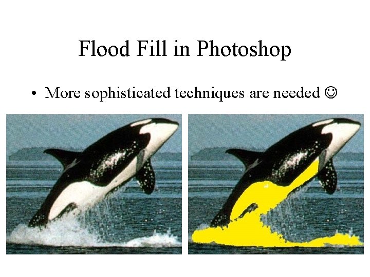 Flood Fill in Photoshop • More sophisticated techniques are needed 