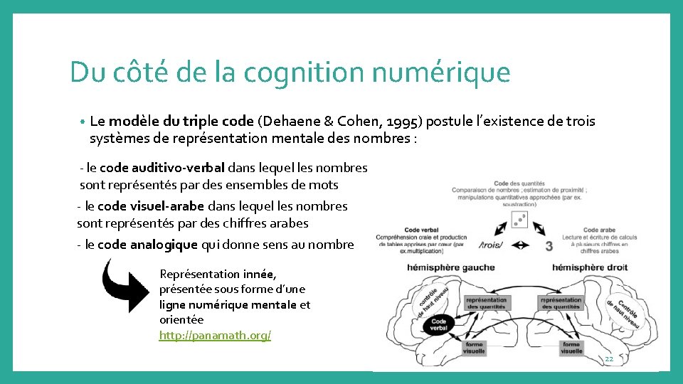 Du côté de la cognition numérique • Le modèle du triple code (Dehaene &