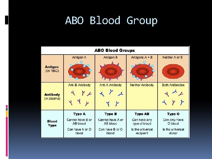 ABO Blood Group 