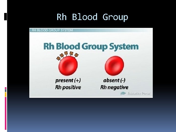 Rh Blood Group 