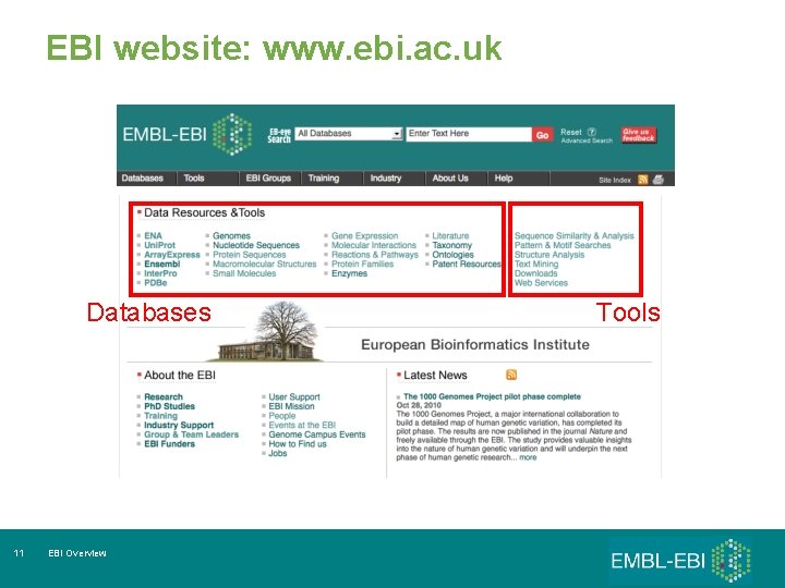 EBI website: www. ebi. ac. uk Databases 11 EBI Overview Tools 