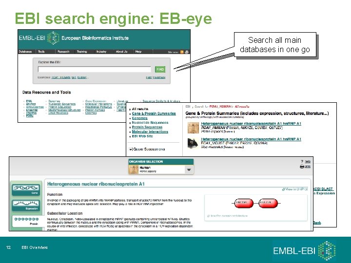 EBI search engine: EB-eye Search all main databases in one go 12 EBI Overview