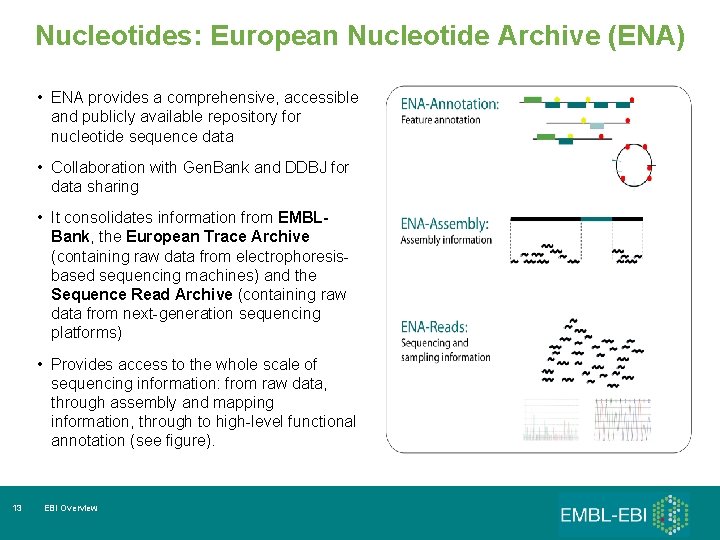 Nucleotides: European Nucleotide Archive (ENA) • ENA provides a comprehensive, accessible and publicly available
