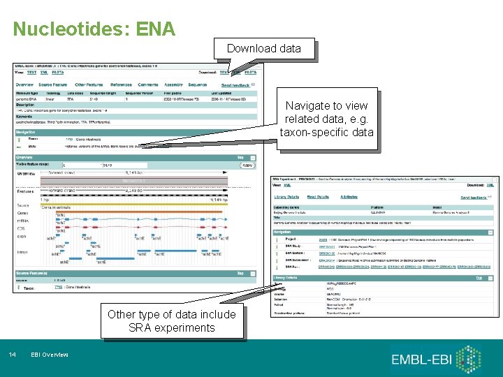 Nucleotides: ENA Download data Navigate to view related data, e. g. taxon-specific data Other
