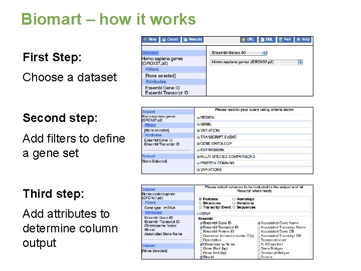 Biomart – how it works First Step: Choose a dataset Second step: Add filters