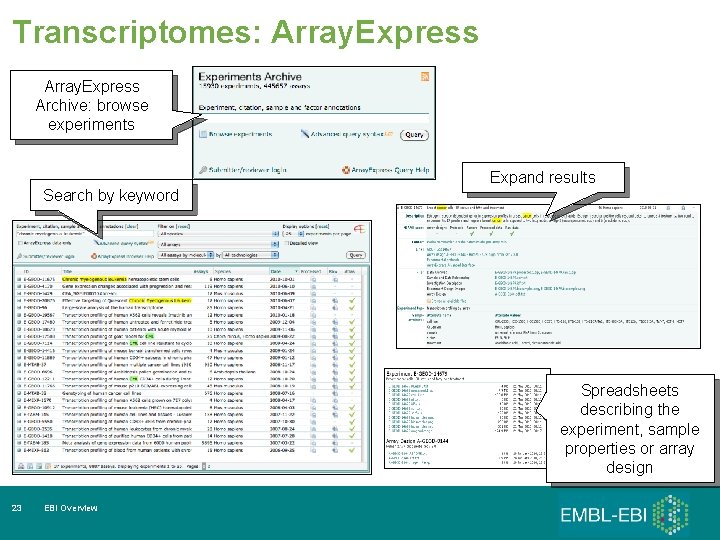 Transcriptomes: Array. Express Archive: browse experiments Search by keyword Expand results Spreadsheets describing the