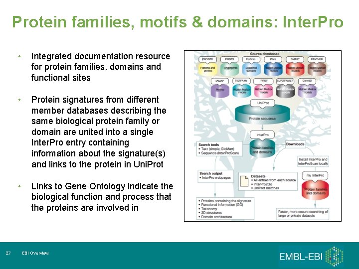 Protein families, motifs & domains: Inter. Pro 27 • Integrated documentation resource for protein