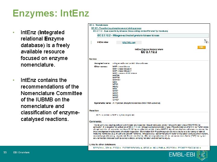Enzymes: Int. Enz 33 • Int. Enz (Integrated relational Enzyme database) is a freely