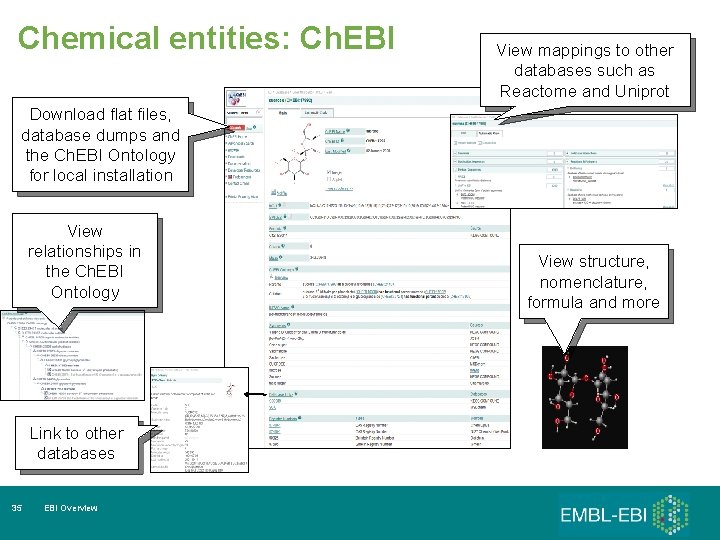 Chemical entities: Ch. EBI View mappings to other databases such as Reactome and Uniprot