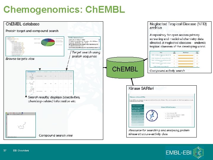 Chemogenomics: Ch. EMBL 37 EBI Overview 