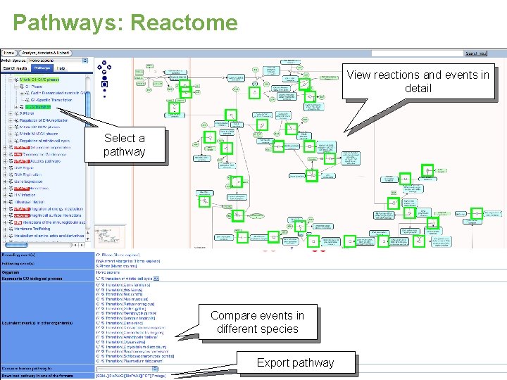 Pathways: Reactome View reactions and events in detail Select a pathway Compare events in