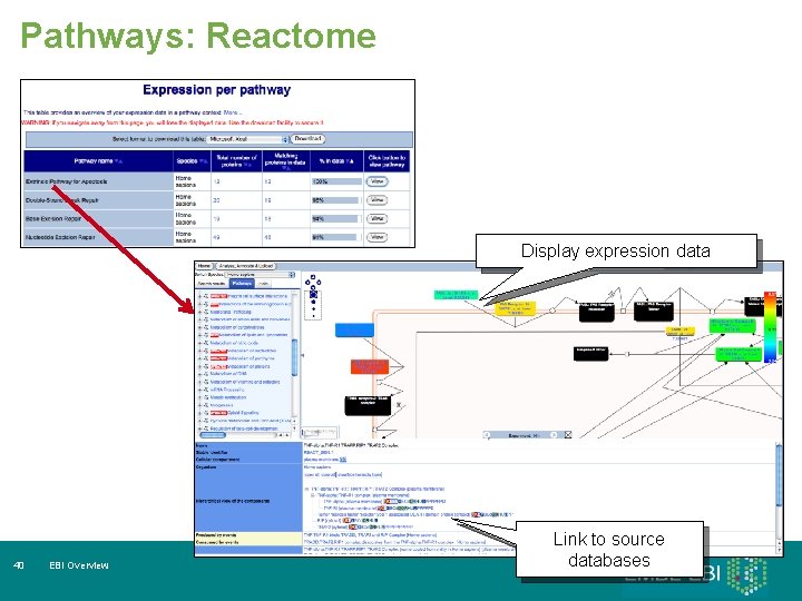 Pathways: Reactome Display expression data 40 EBI Overview Link to source databases 