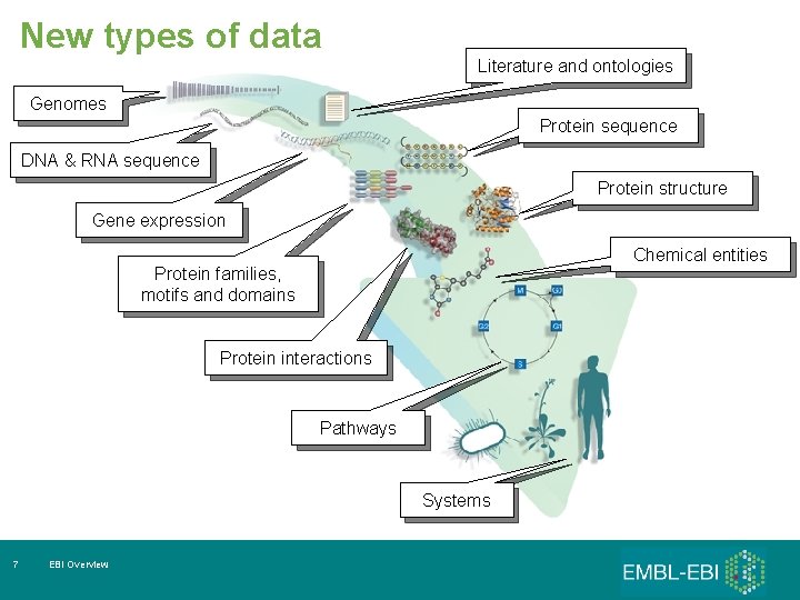 New types of data Literature and ontologies Genomes Protein sequence DNA & RNA sequence