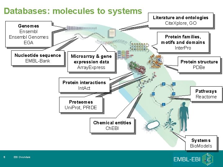 Databases: molecules to systems Genomes Ensembl Genomes EGA Nucleotide sequence EMBL-Bank Literature and ontologies