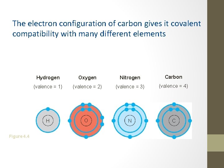 The electron configuration of carbon gives it covalent compatibility with many different elements Figure