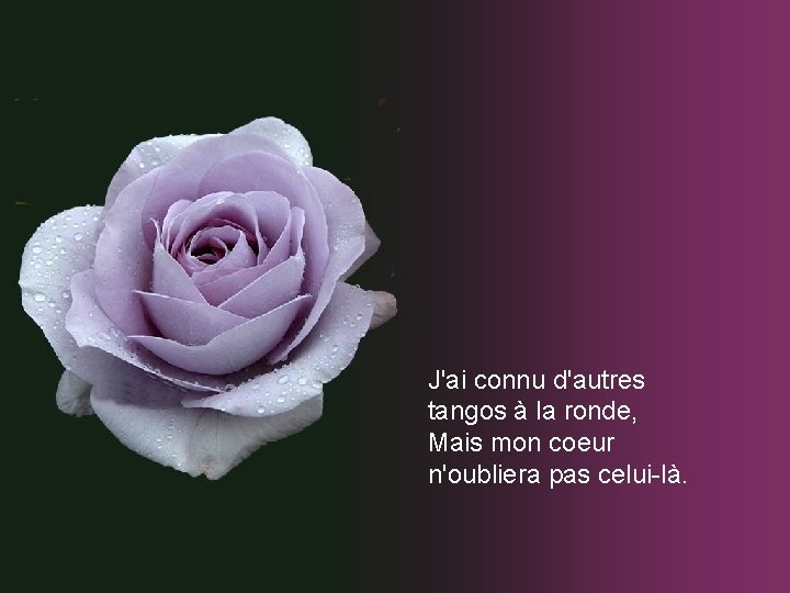 J'ai connu d'autres tangos à la ronde, Mais mon coeur n'oubliera pas celui-là. J'ai connu d'autres tangos à la ronde, Mais mon coeur n'oubliera pas celui-là.