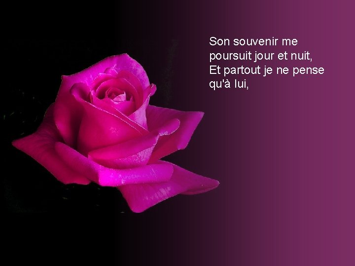Son souvenir me poursuit jour et nuit, Et partout je ne pense qu'à lui, Son souvenir me poursuit jour et nuit, Et partout je ne pense qu'à lui,