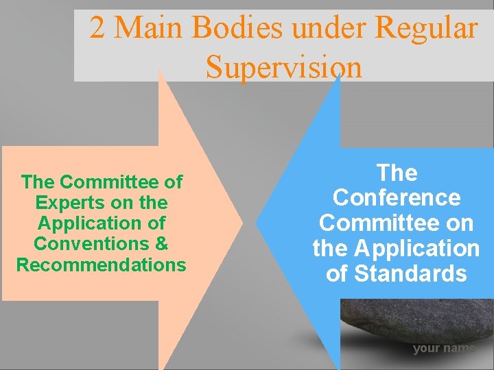 2 Main Bodies under Regular Supervision The Committee of Experts on the Application of