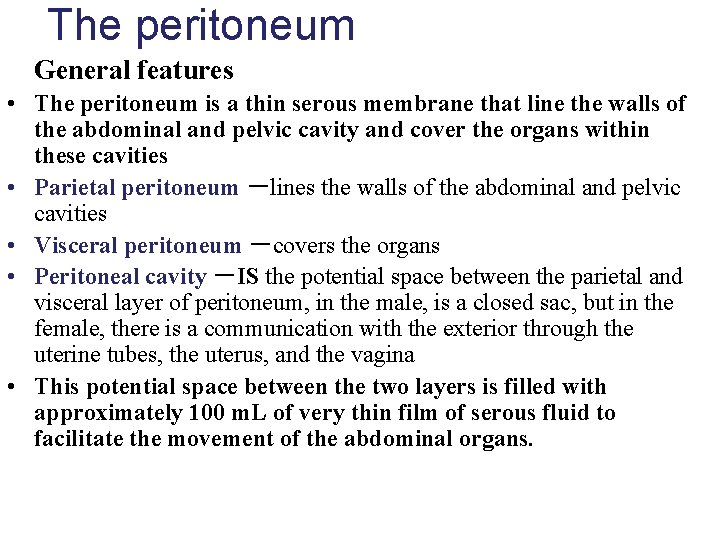 The peritoneum General features • The peritoneum is a thin serous membrane that line