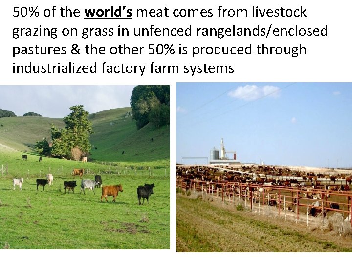 50% of the world’s meat comes from livestock grazing on grass in unfenced rangelands/enclosed