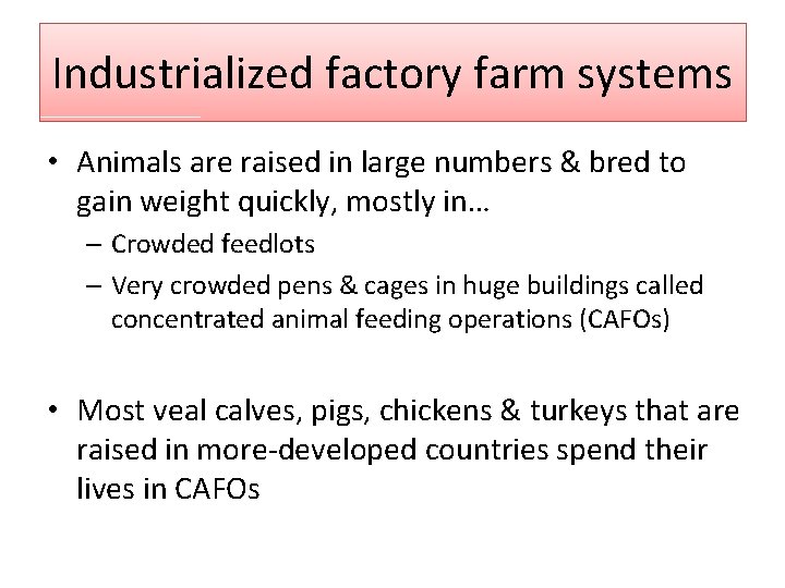 Industrialized factory farm systems • Animals are raised in large numbers & bred to