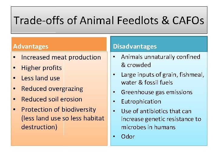 Trade-offs of Animal Feedlots & CAFOs Advantages • • • Increased meat production Higher