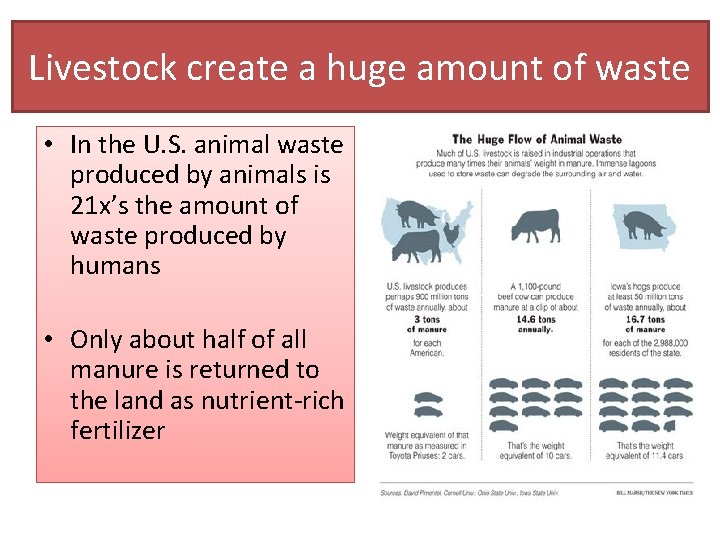 Livestock create a huge amount of waste • In the U. S. animal waste