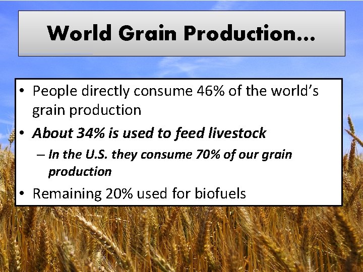 World Grain Production… • People directly consume 46% of the world’s grain production •