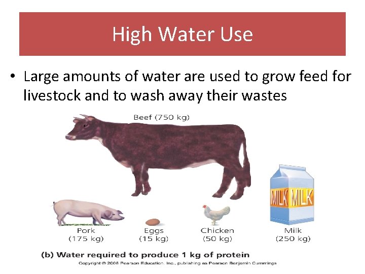 High Water Use • Large amounts of water are used to grow feed for