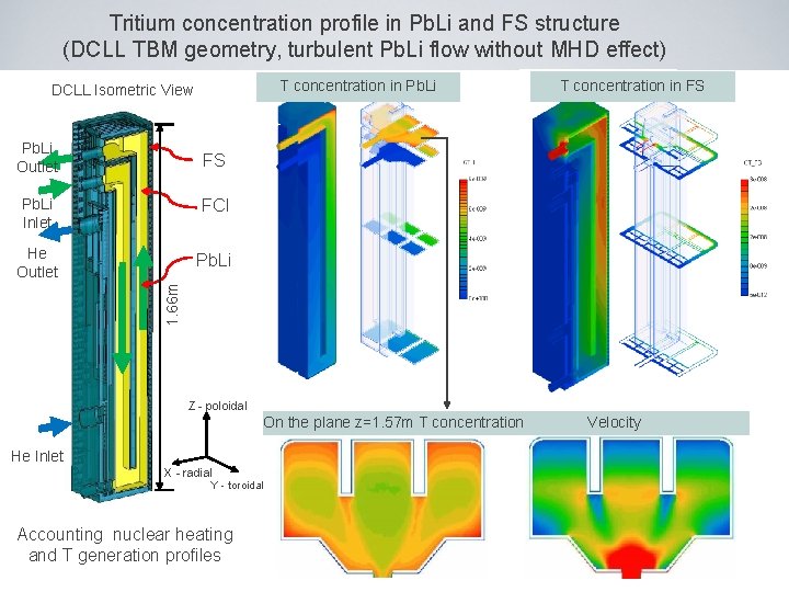 Tritium concentration profile in Pb. Li and FS structure (DCLL TBM geometry, turbulent Pb.